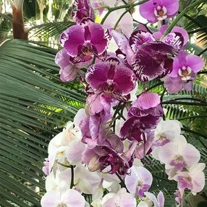 Meet your Posher, Lucy